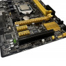 Материнская плата ASUS H81M-C +G3420 Socket 1150